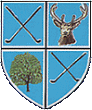 Newtownstewart Club Crest