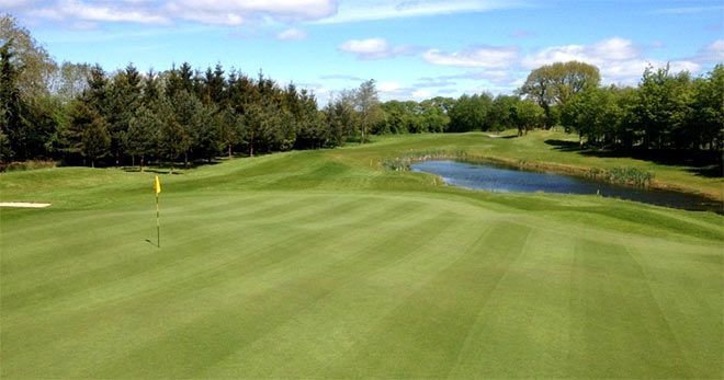 Newbridge golf course Kildare